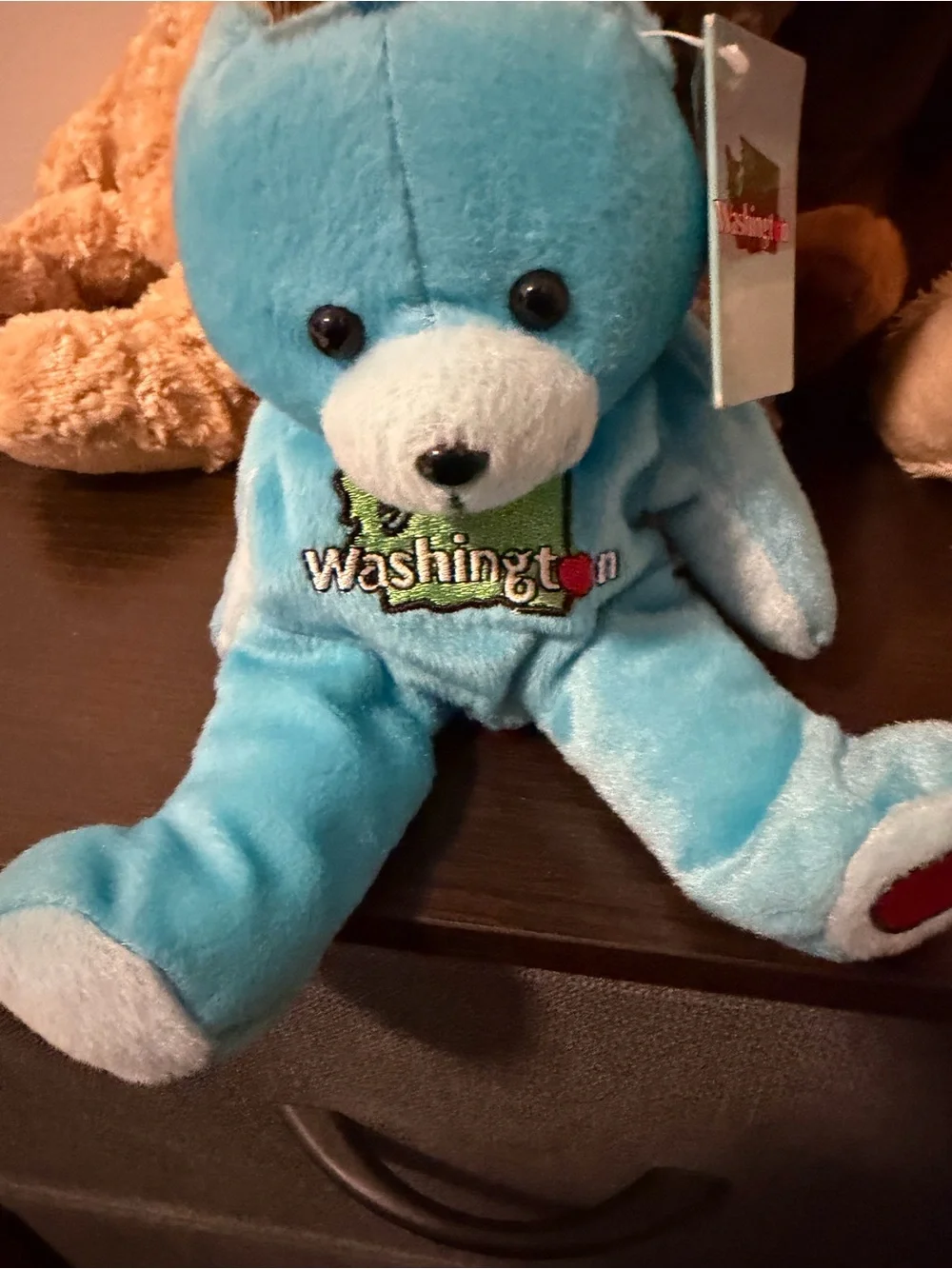 Washington Blue Plush Bear Stuffed Toy - Soft Kids Toy